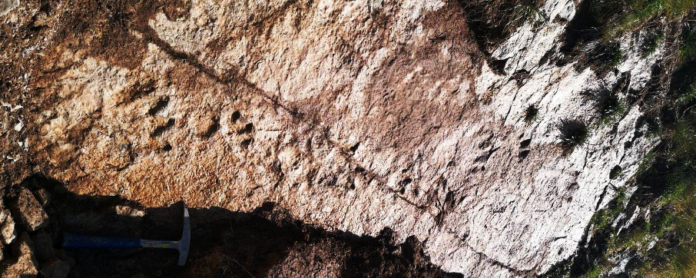 Impronte fossili alla Gardetta
